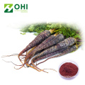 Black Carrot Pigment Natural Red Color Powder